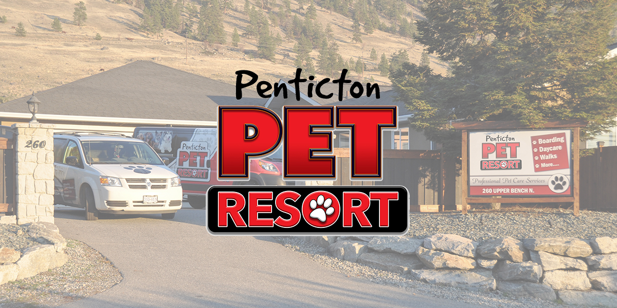 Penticton Pet Resort Okanagan Premier Pet Boarding, Walking and Daycare