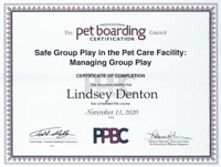 Group Play Certificate