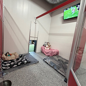 Extra Large Premium Suite with private yard