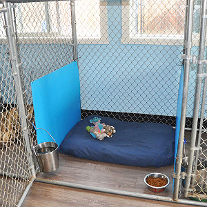 Penticton Boarding Pet Kennels